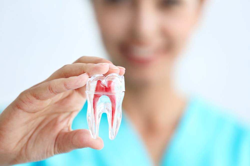 Wurzelbehandlung / Endodontologie ZAHNKOWSKI MVZ in Ratzeburg Endodontologie ZAHNKOWSKI MVZ